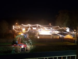 town festoon lights